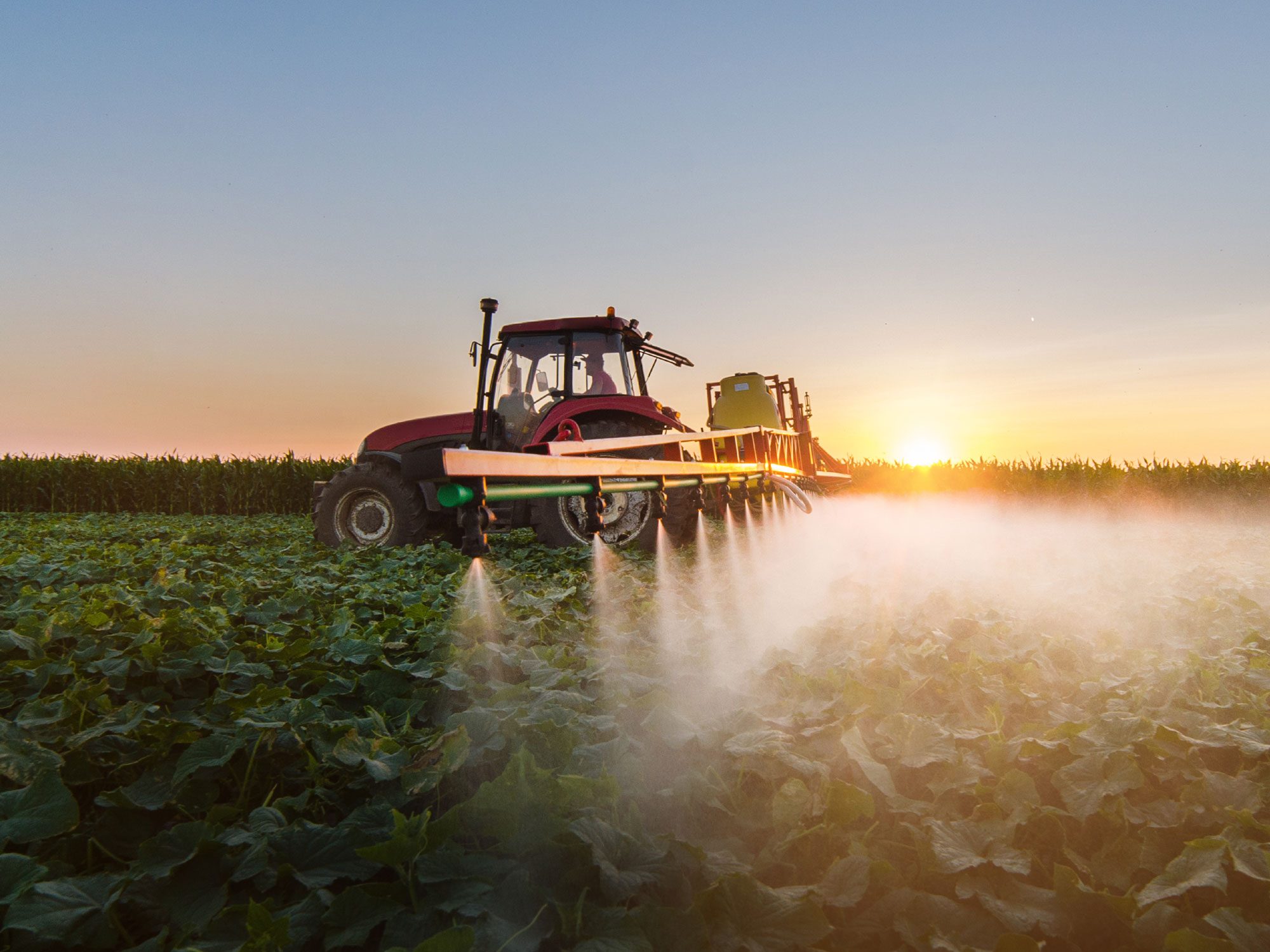 Team Sprayers