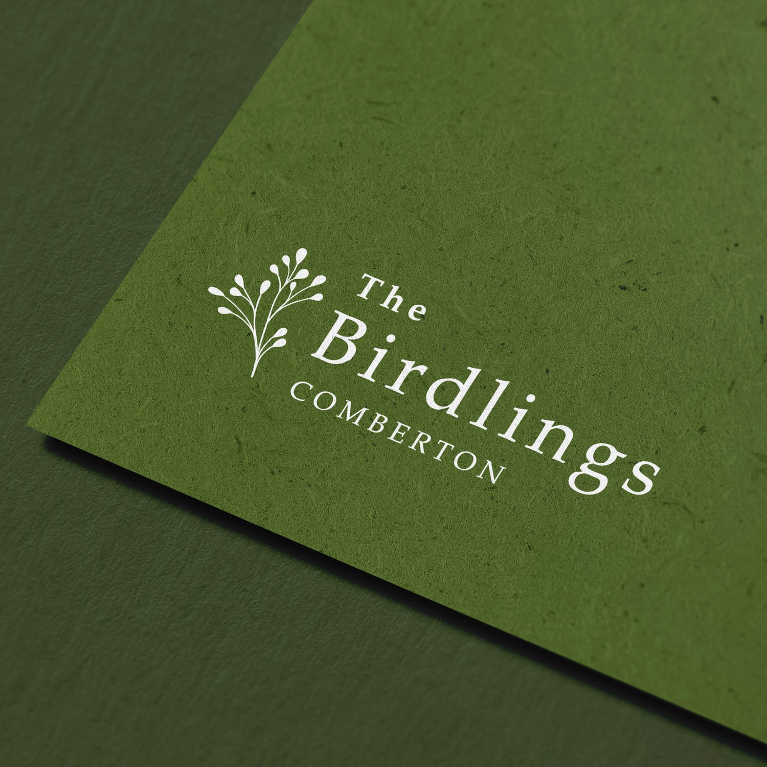 IC-WEB-Project-Birdlings-03