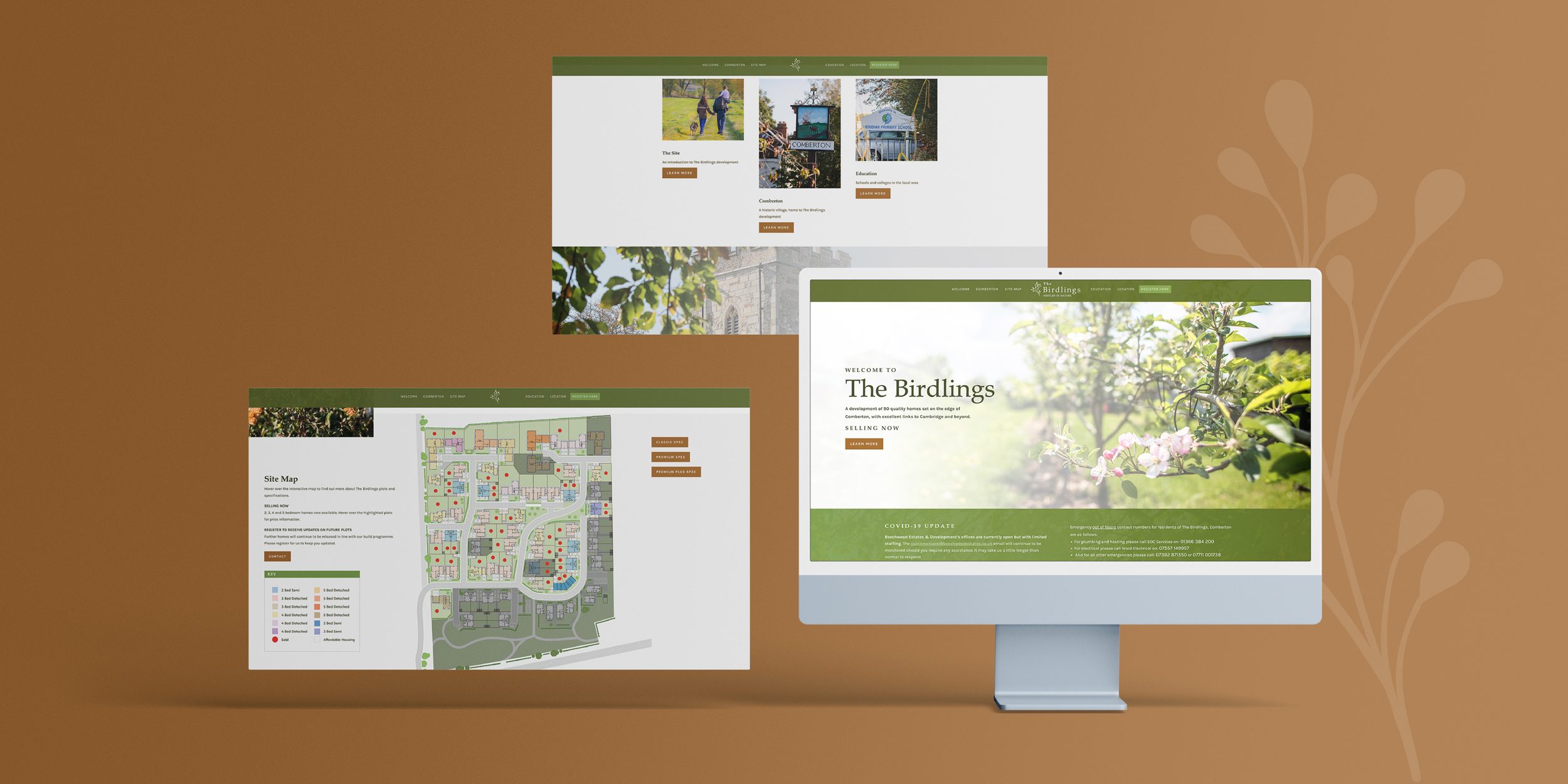 IC-WEB-Project-Birdlings-05