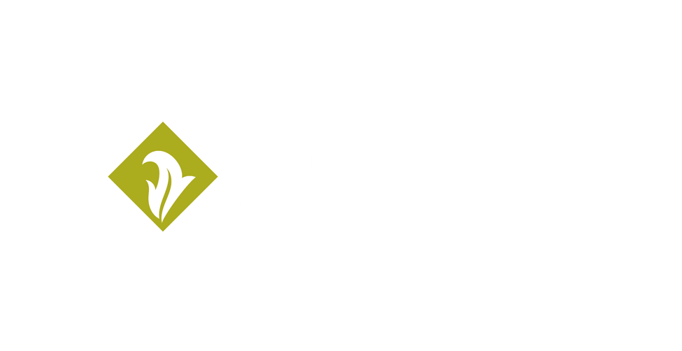 IC-WEB-Project-Birdlings-BeechwoodFeatured-03