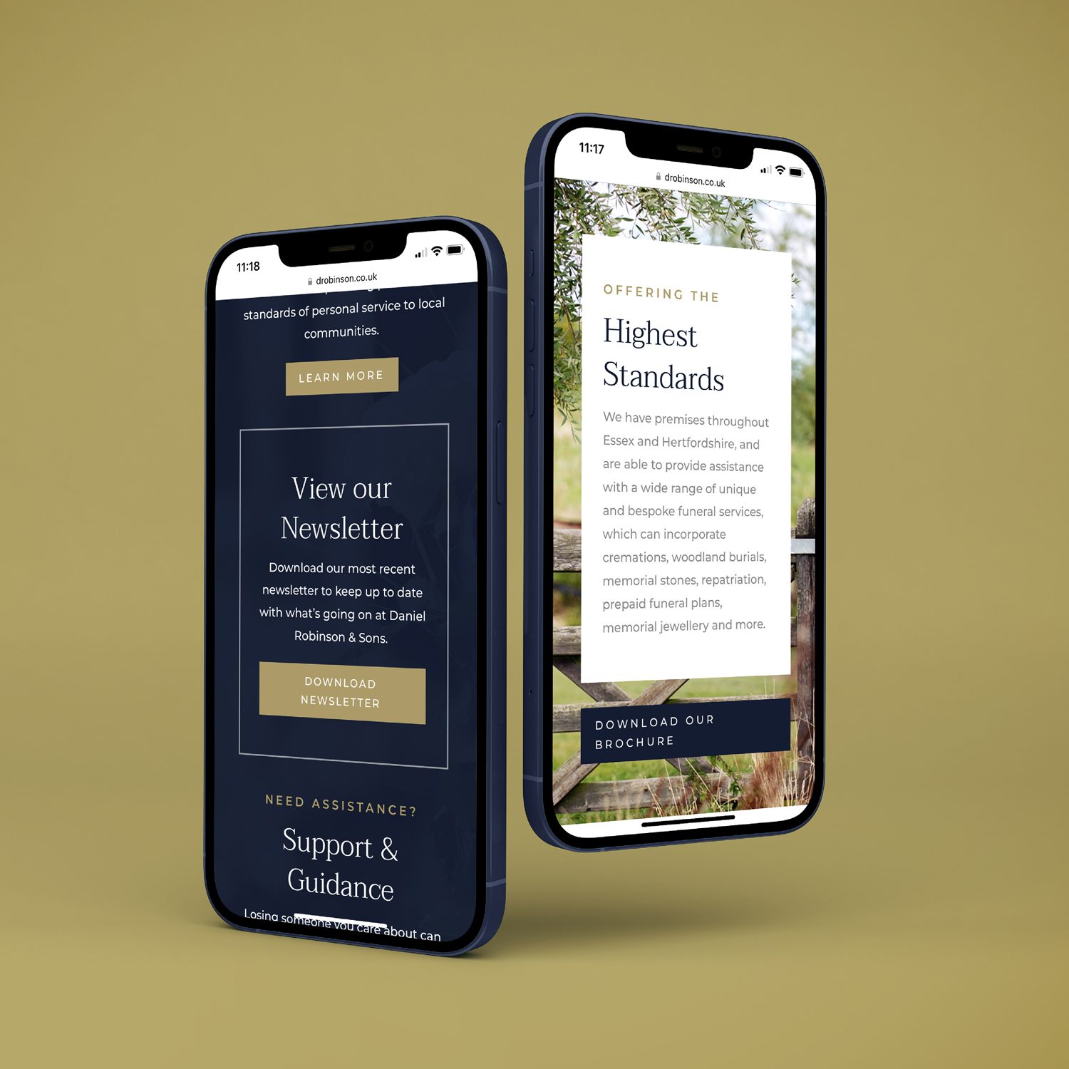 IC-WEB-Project-DRobinson-08
