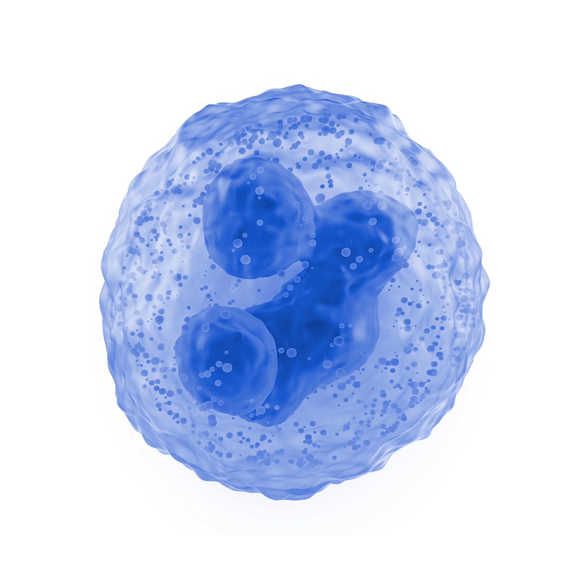 IC-WEB-Project-Granular-01