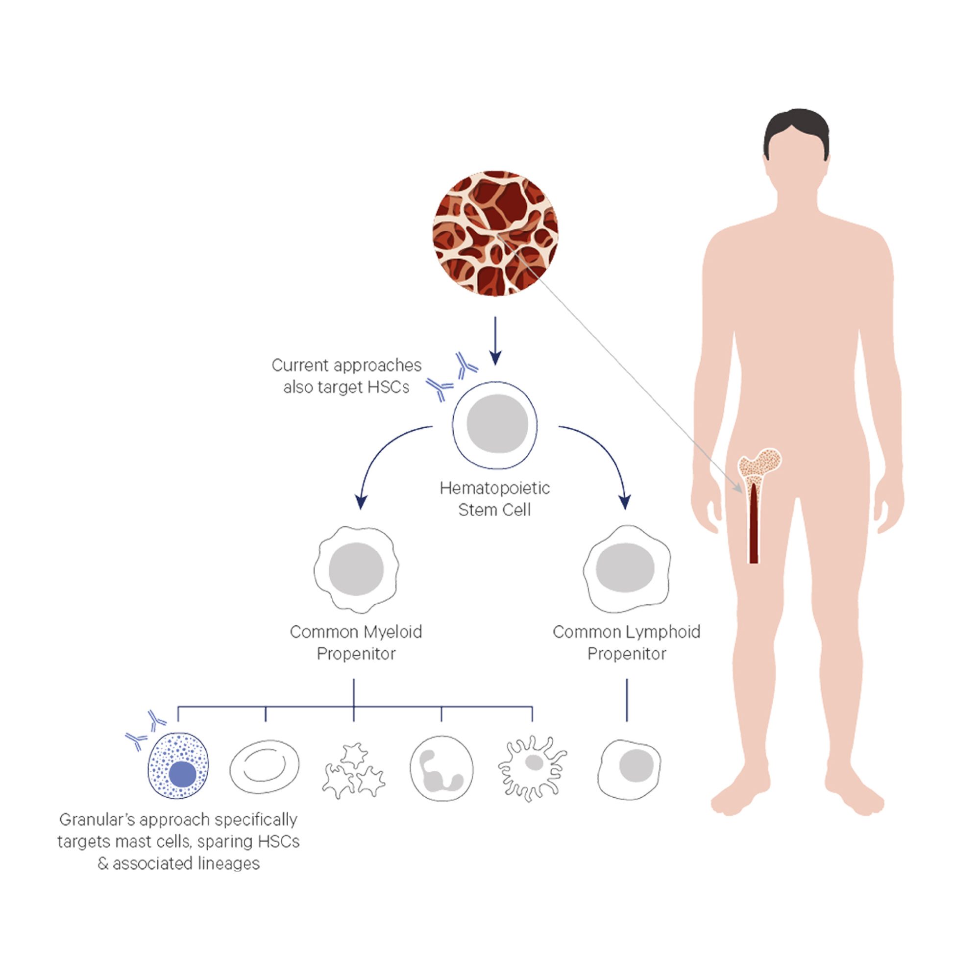 IC-WEB-Project-Granular-03
