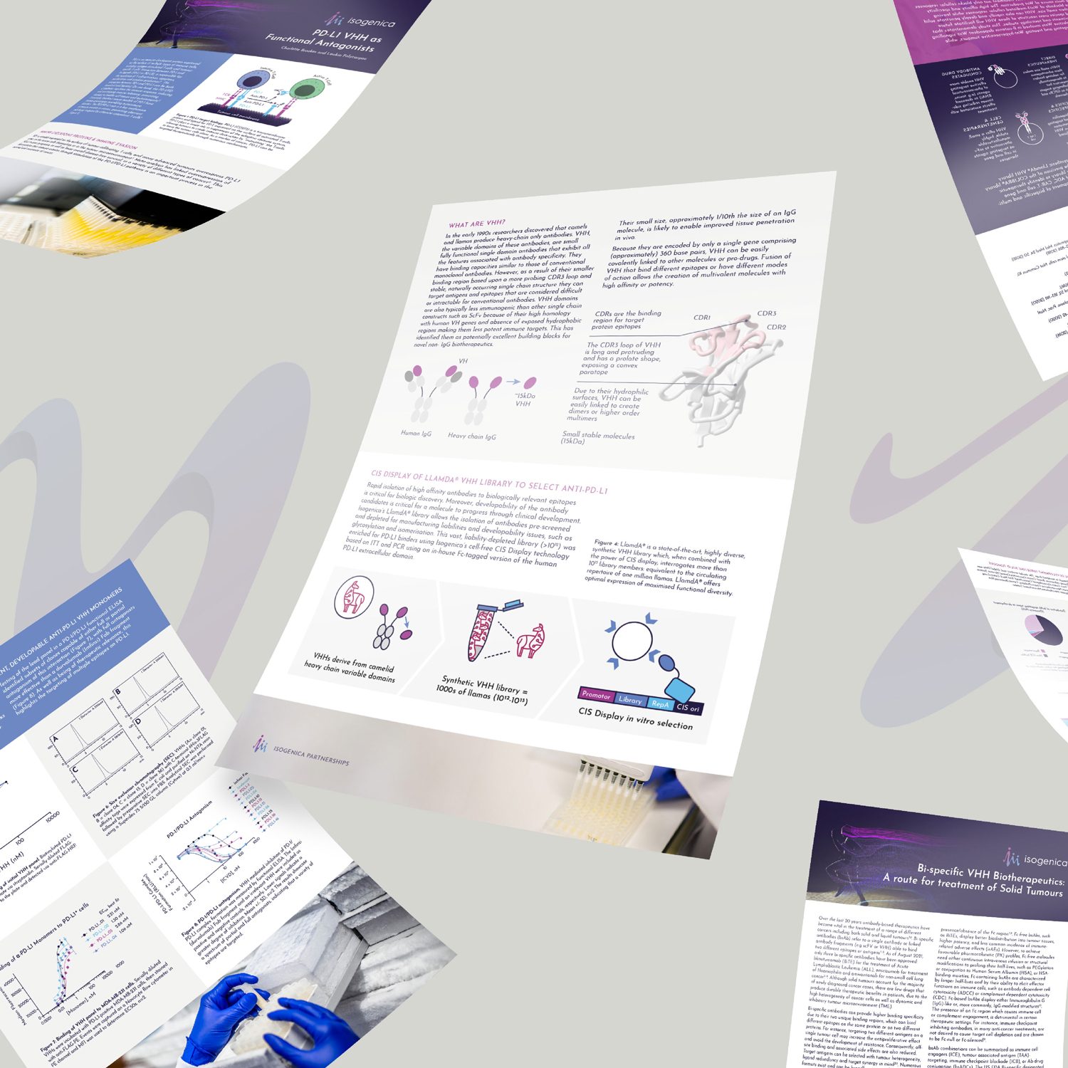IC-WEB-Project-Isogenica-03