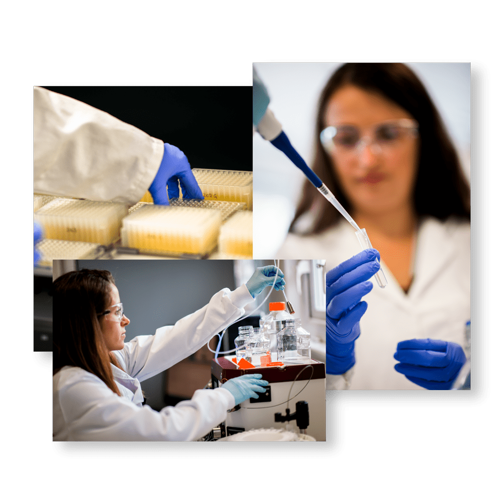IC-WEB-Project-Isogenica-2