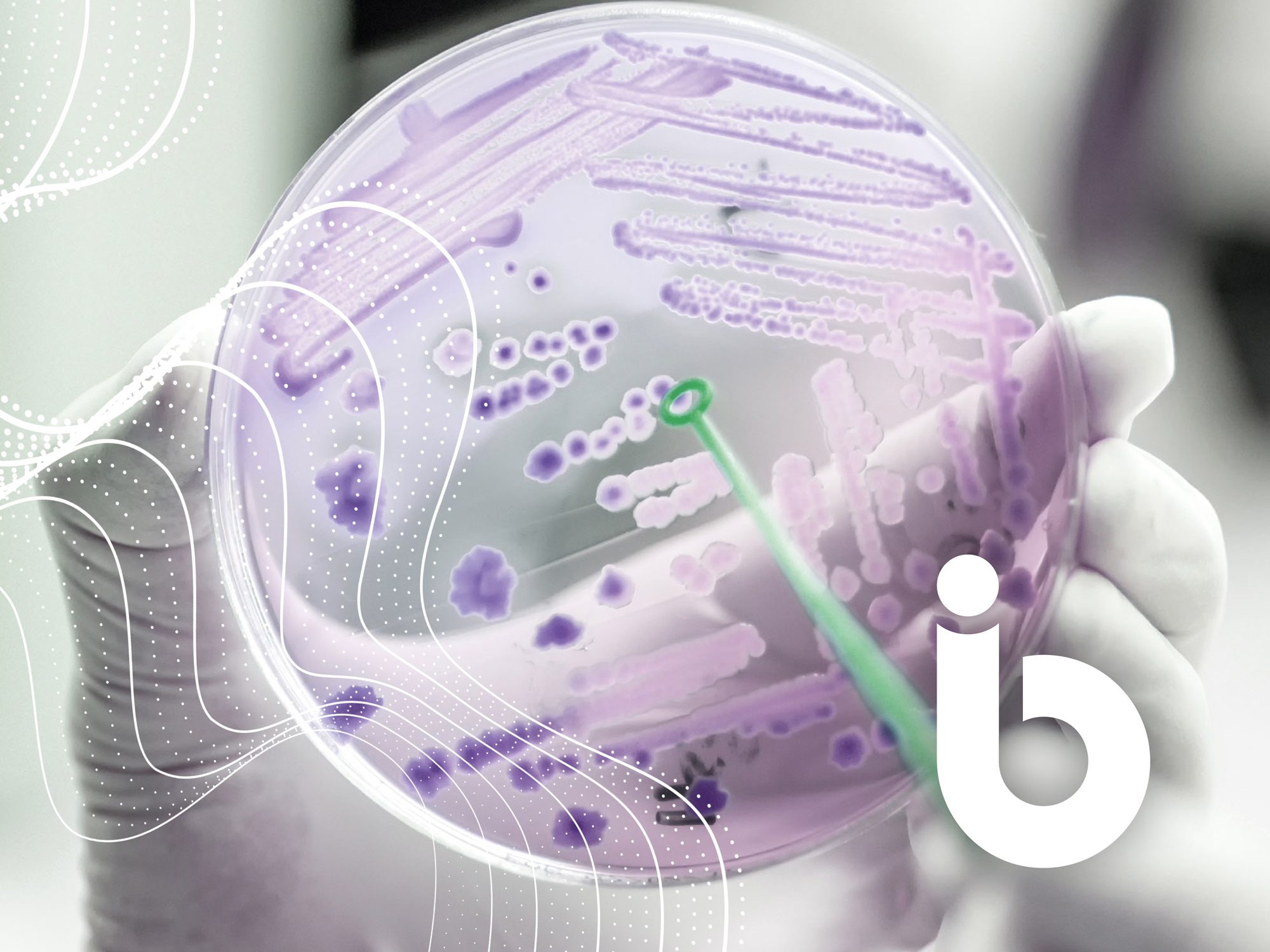 IC-WEB-BiofilmAware-Banner