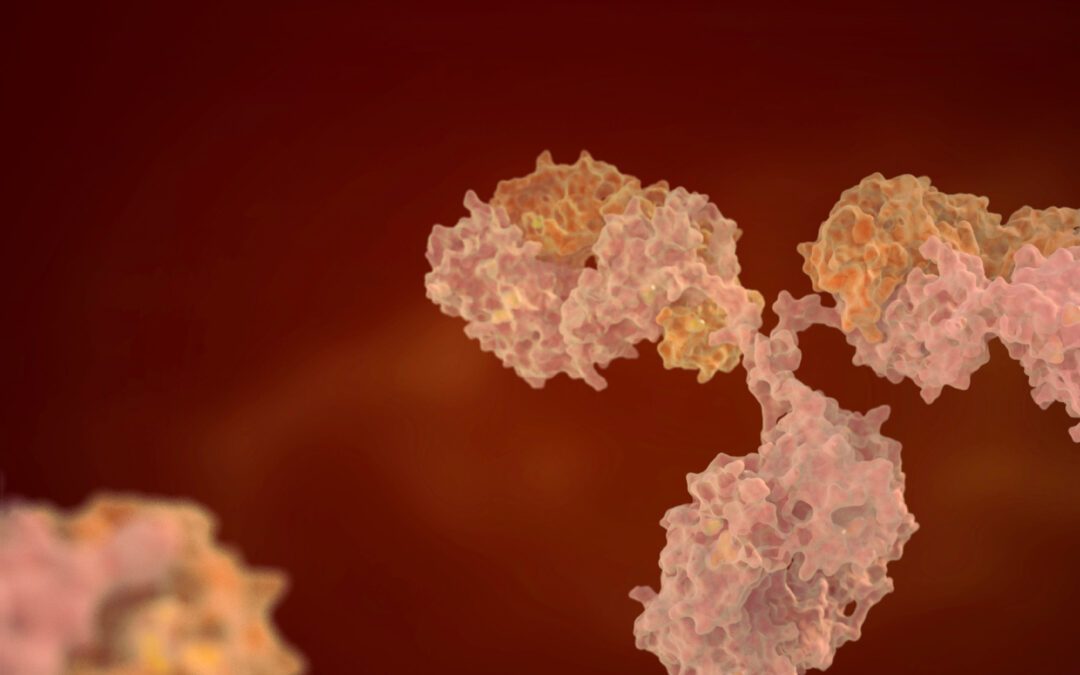 Constructing a Platform of Ex-cell-ence