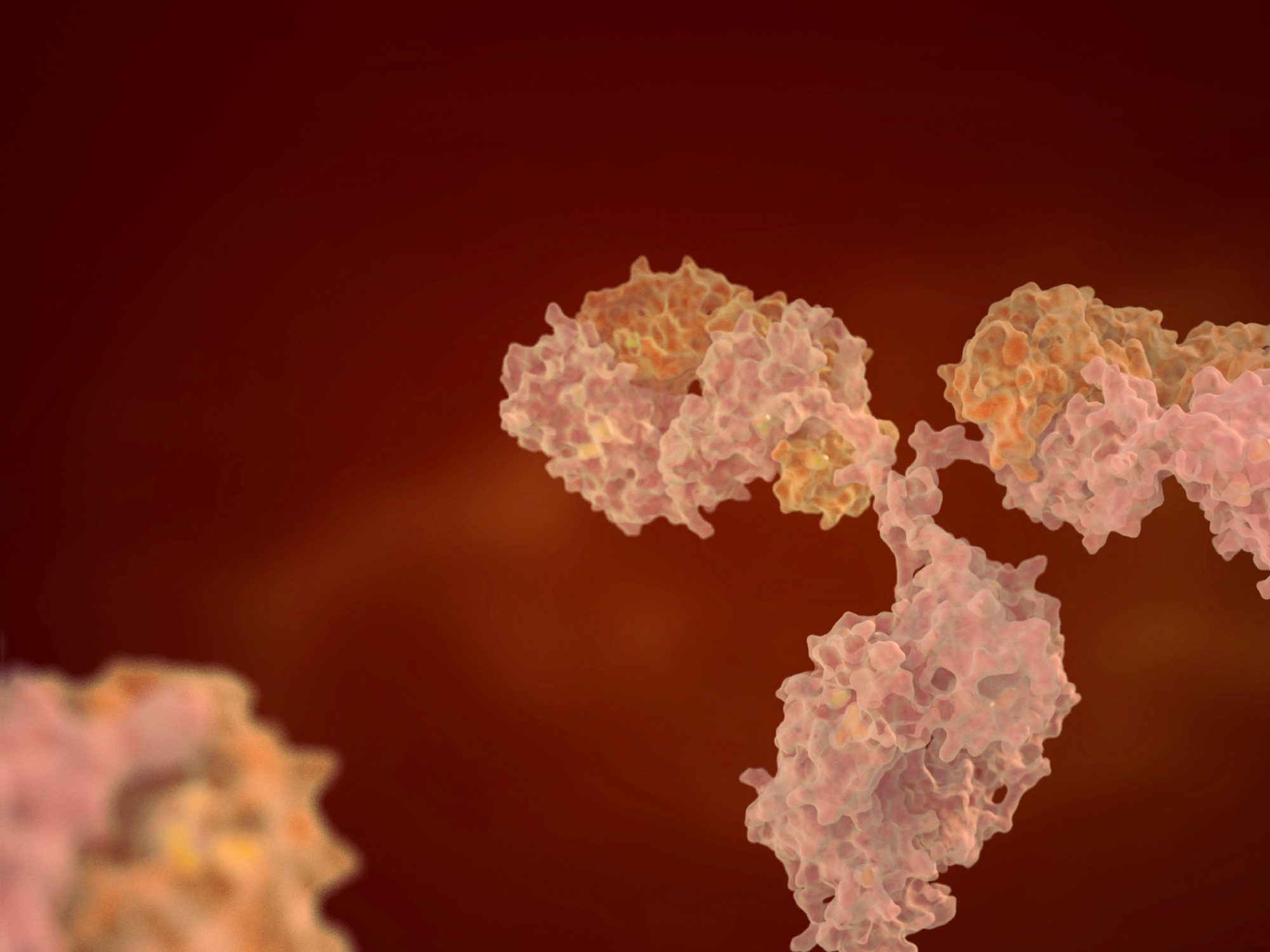 Constructing a Platform of Ex-cell-ence