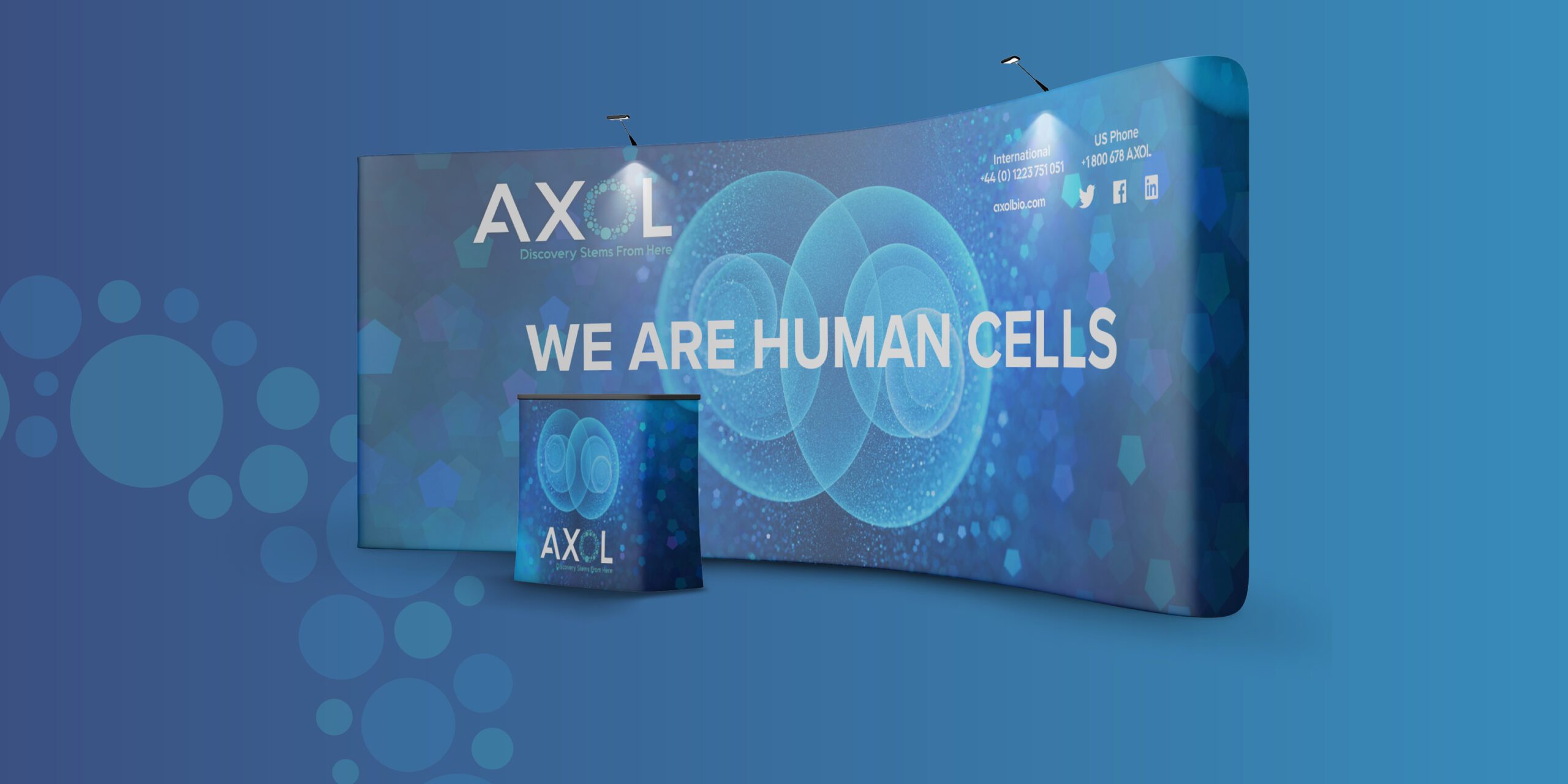 IC-WEB-Project-Axol-04