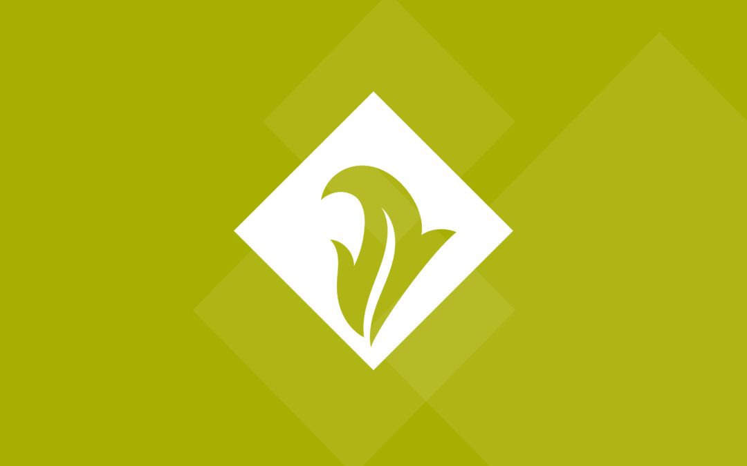 Beechwood Estates & Developments