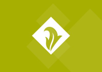 Beechwood Estates & Developments