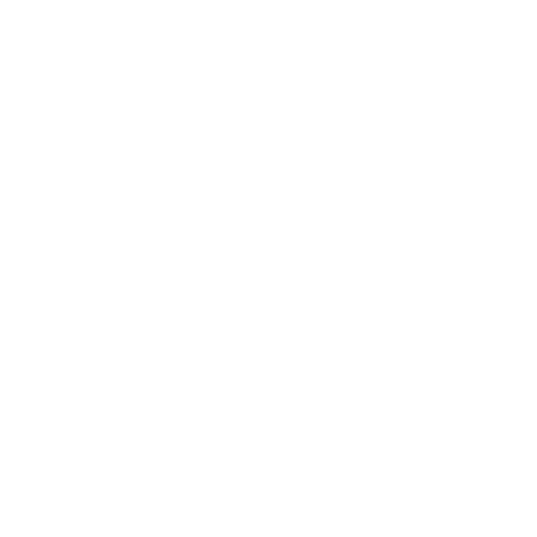 IC-WEB-Project-DigiiStore-v2