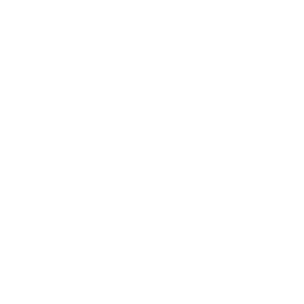 IC-WEB-Project-Digiigifts-v2