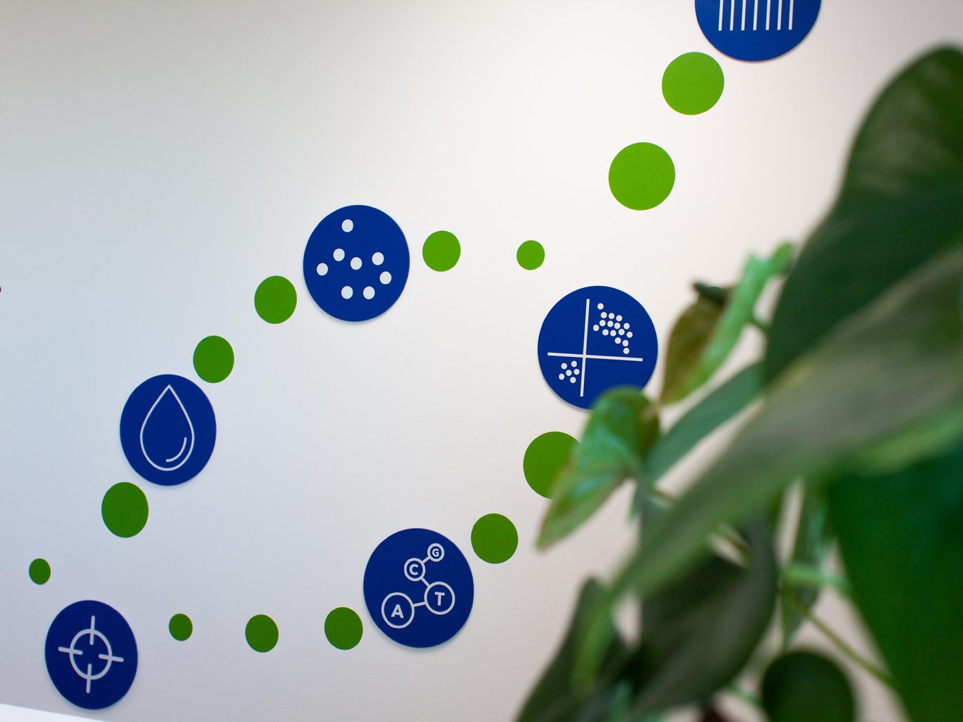 Wall to Wall Branding for Neo Genomics