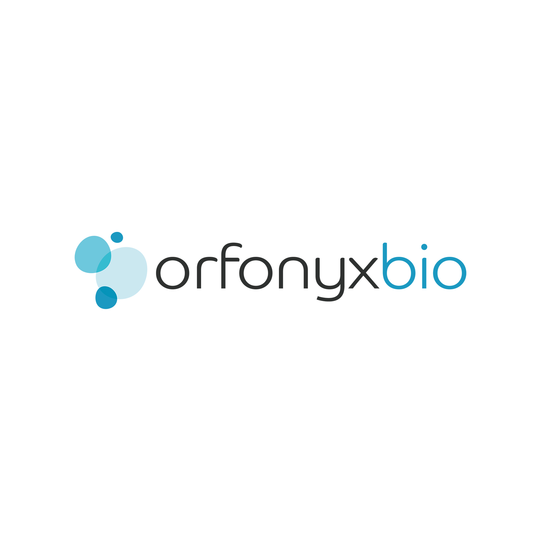 IC-WEB-Project-Orfonyx-Image-1