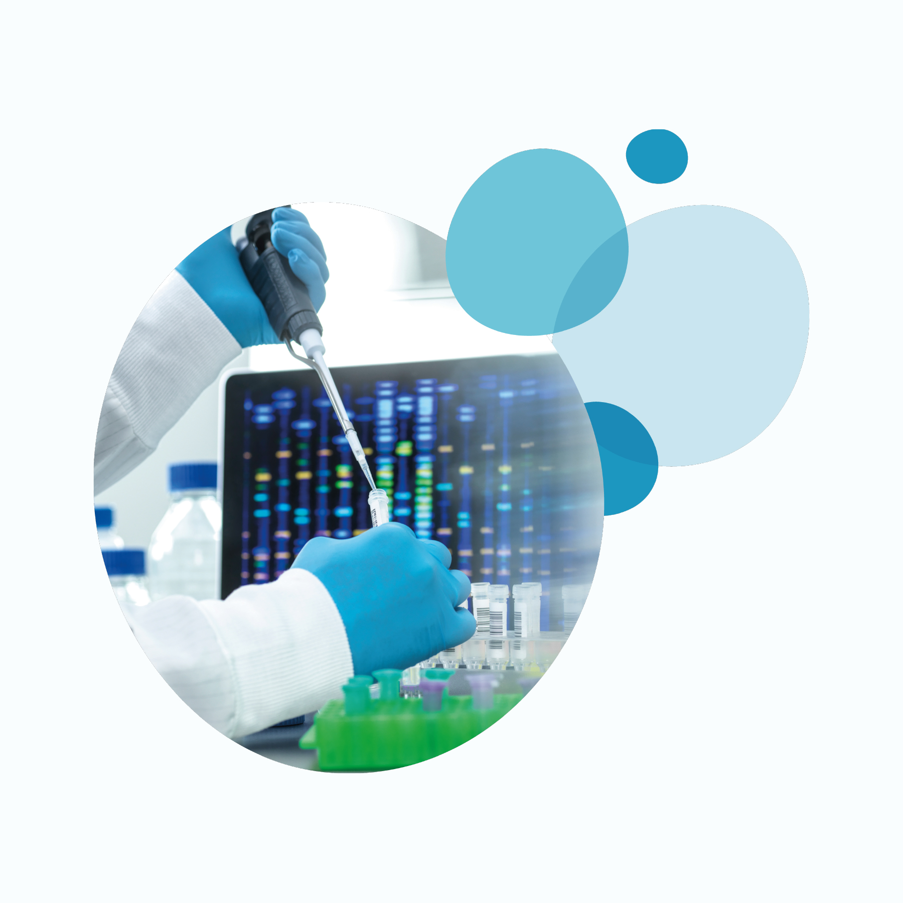 IC-WEB-Project-Orfonyx-Image-3