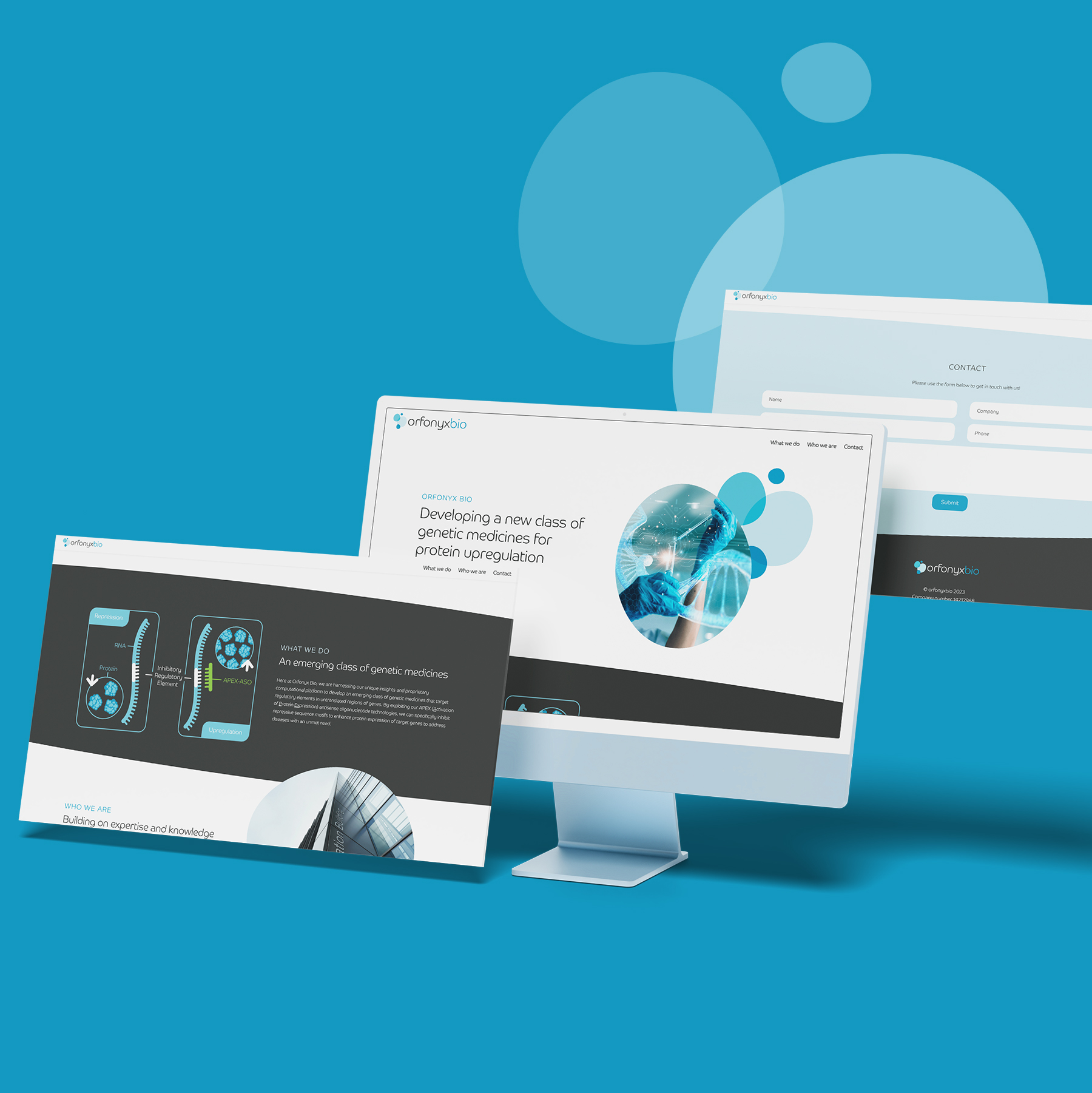 IC-WEB-Project-Orfonyx-Image-5